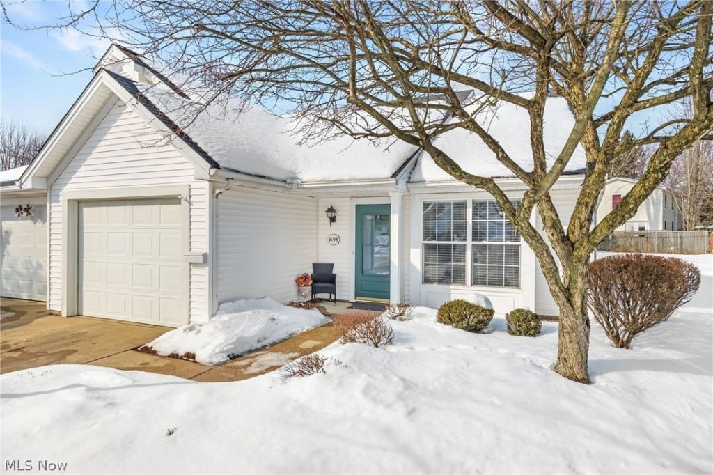 4195 Middlebrook Cove, Brunswick, OH 44212 Main Photo