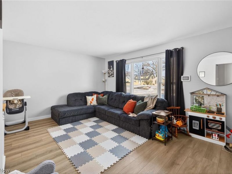 29070 W Willowick Drive, Willowick, OH 44095 Photo 4