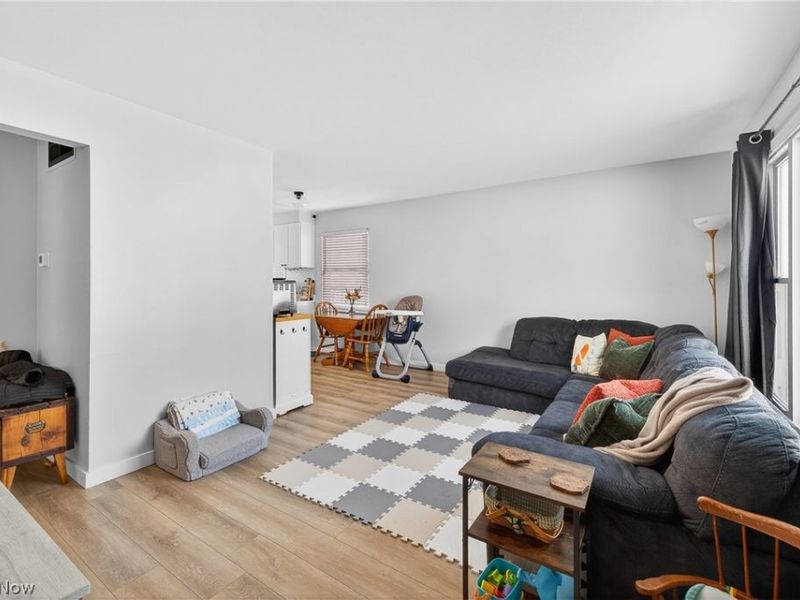 29070 W Willowick Drive, Willowick, OH 44095 Photo 5