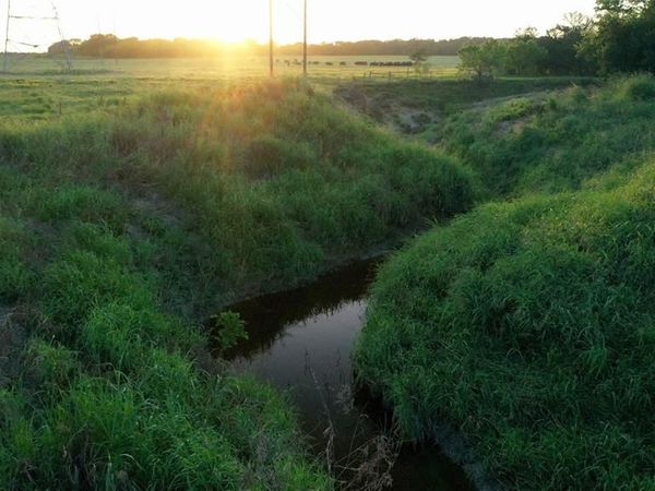 TBD LCR 623, Groesbeck, TX 76642
