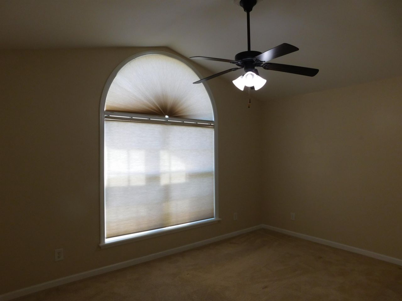 1121 Augustus Dr. Photo 12