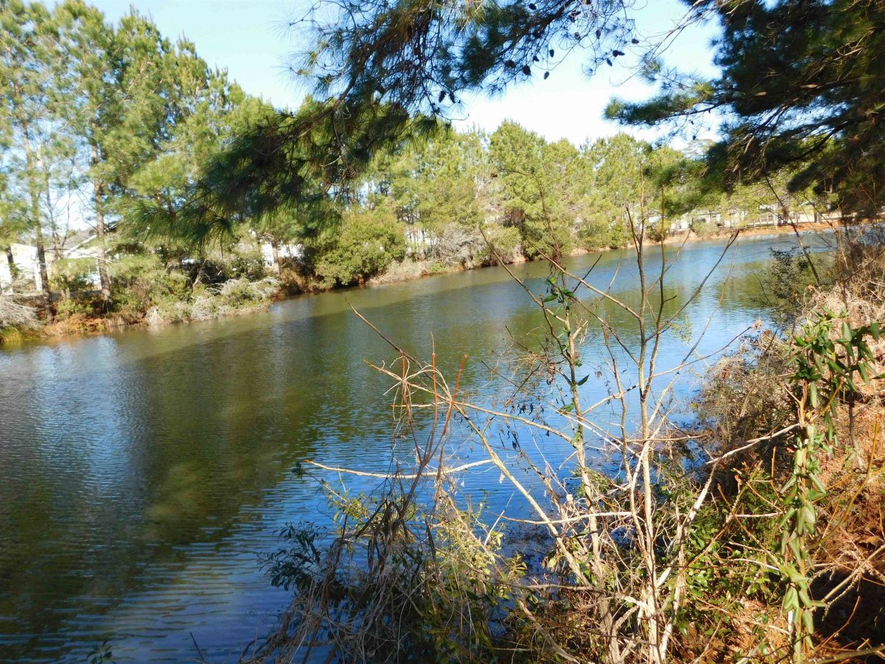 1121 Augustus Dr. Photo 25