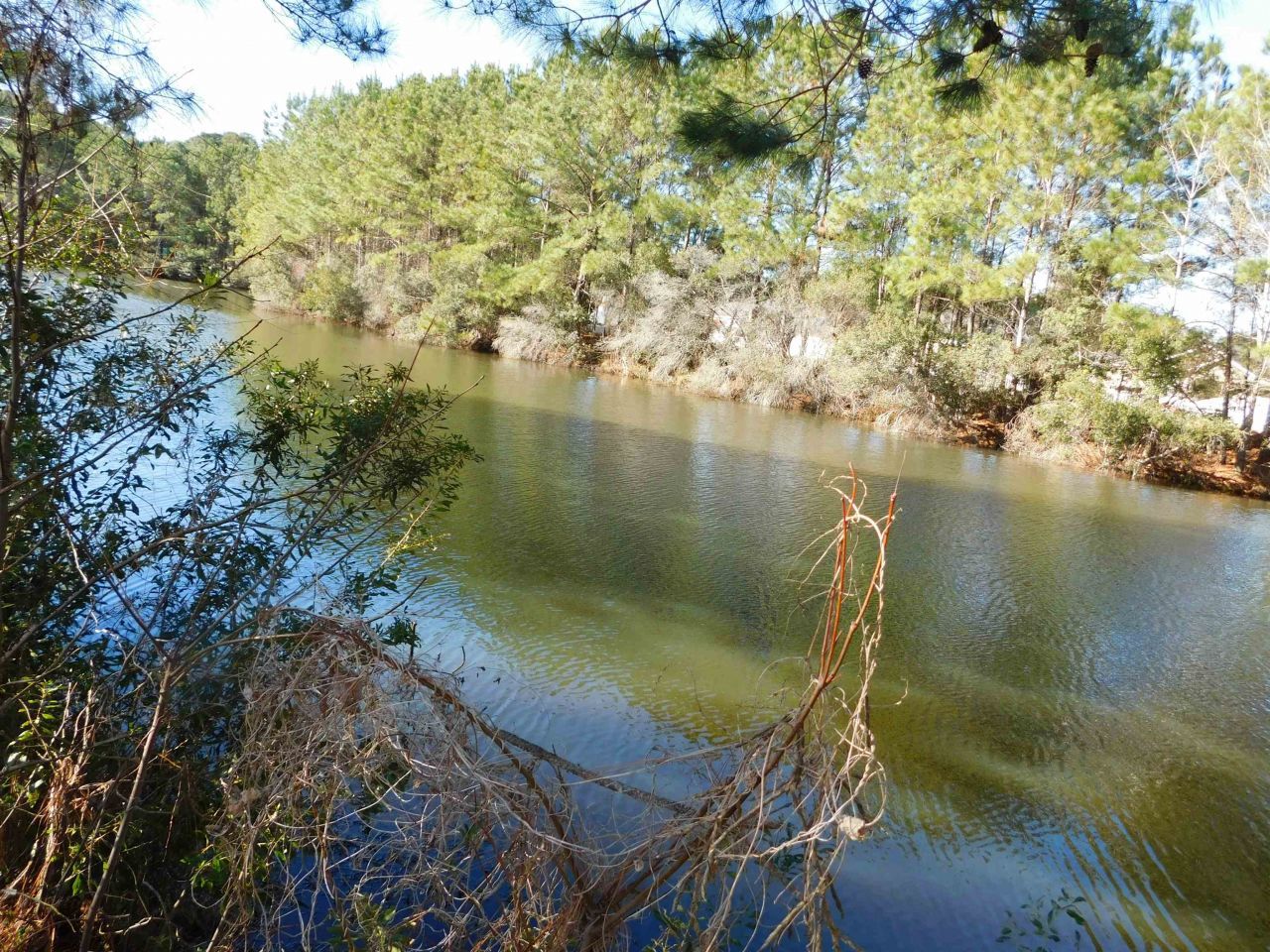 1121 Augustus Dr. Photo 25