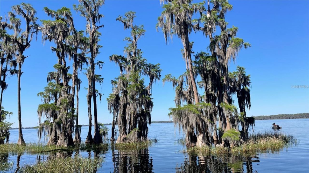 381 SE 5th Avenue, Melrose, FL 32666 Photo