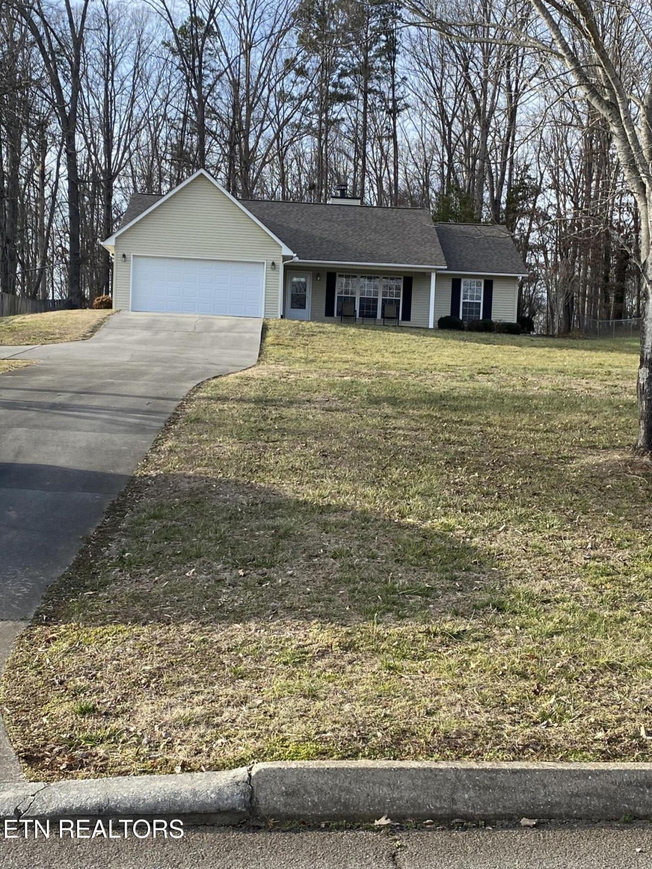 233 Shenendoah Drive, Friendsville, TN 37737 Main Photo