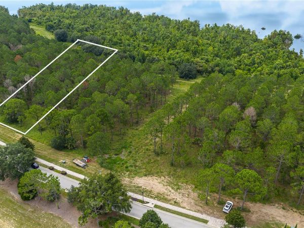 16802 ARTIMINO LOOP, BELLA COLLINA, FL 34756