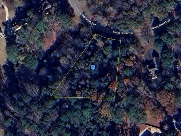 49 Spring Forest Trail, Sharpsburg, GA 30277