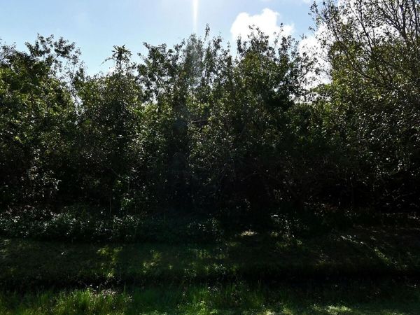 7601 Deer Park Avenue, Fort Pierce, FL 34951