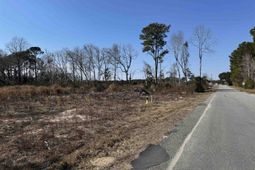 5.77 Acres Three Curve Rd. photo 4