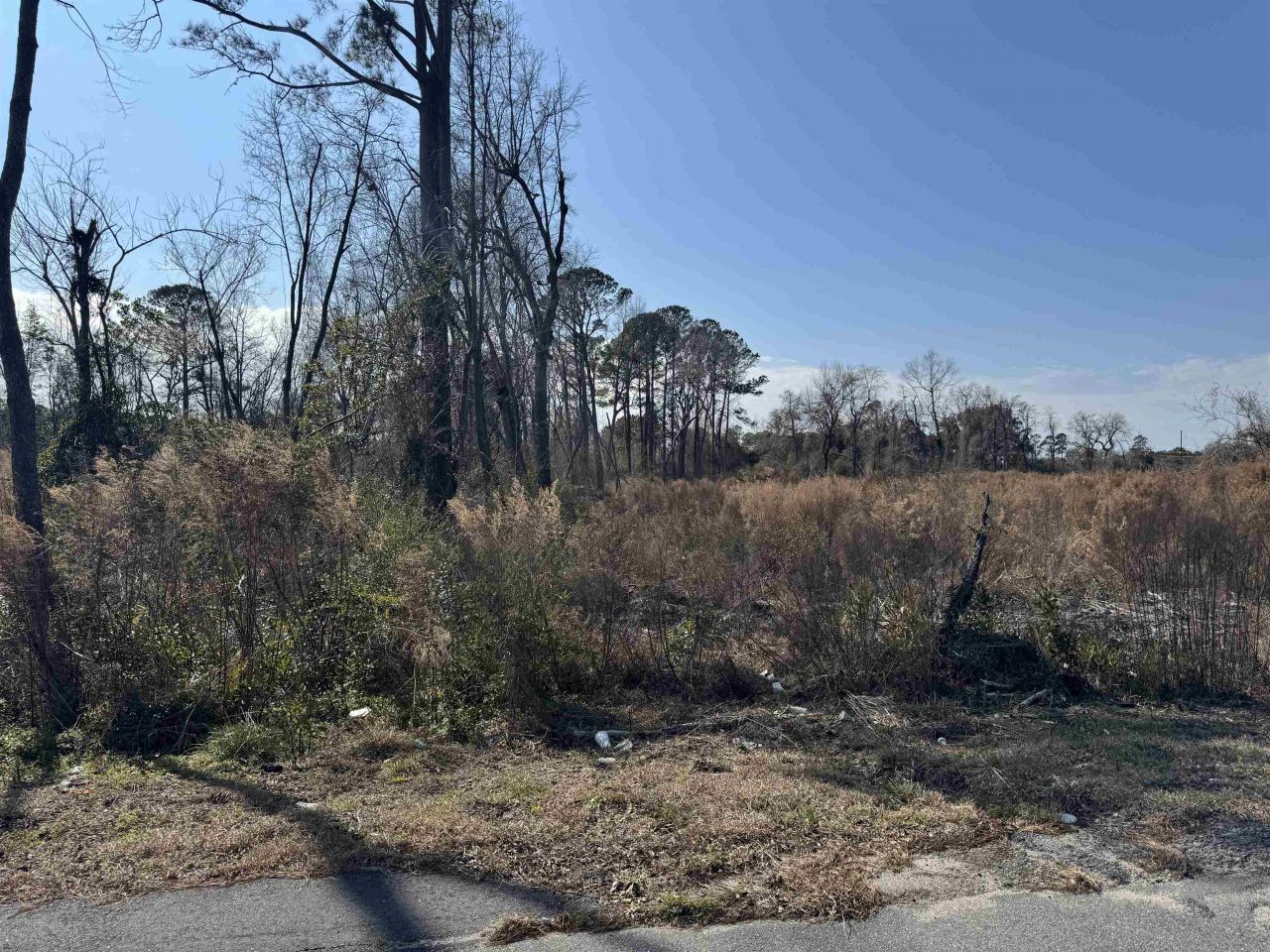 5.77 Acres Three Curve Rd. Photo 5