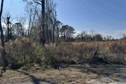 5.77 Acres Three Curve Rd. photo 4