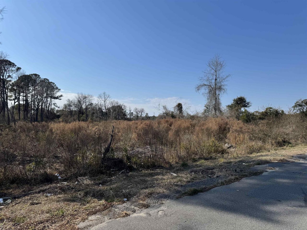 5.77 Acres Three Curve Rd. Photo 6