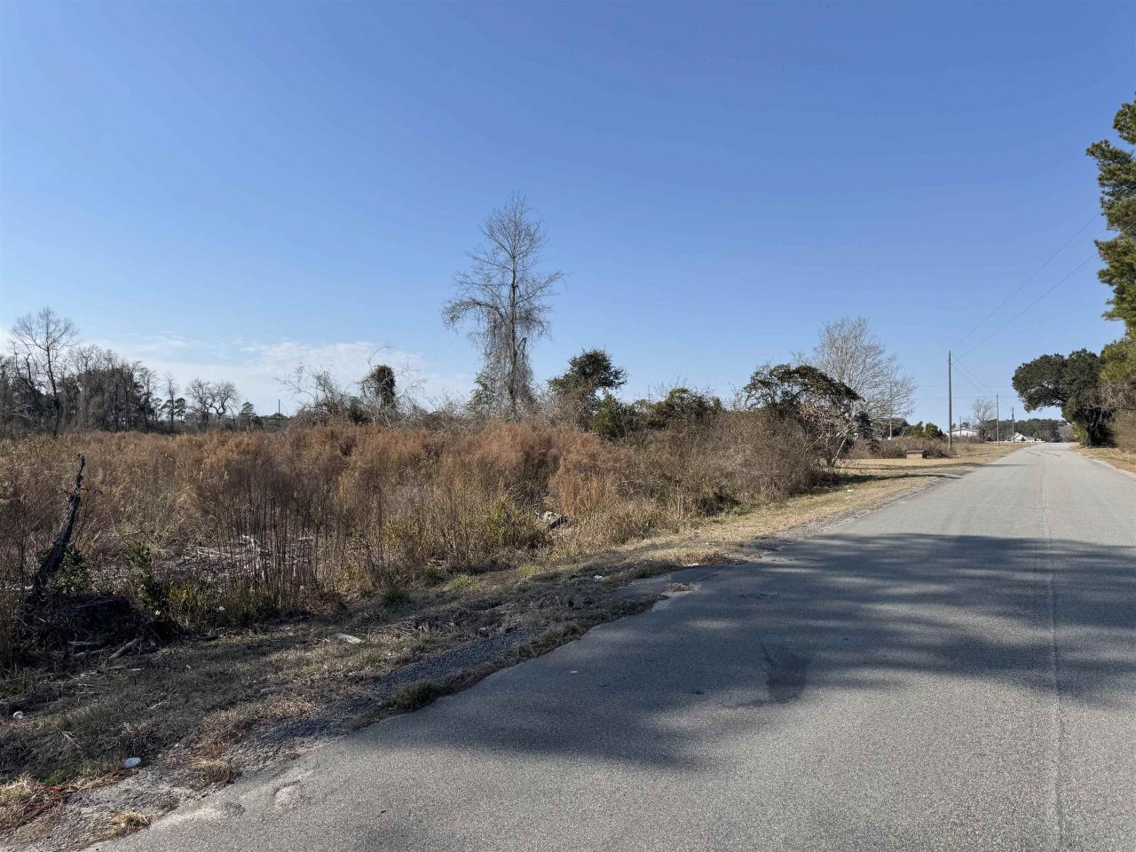 5.77 Acres Three Curve Rd. Photo 7