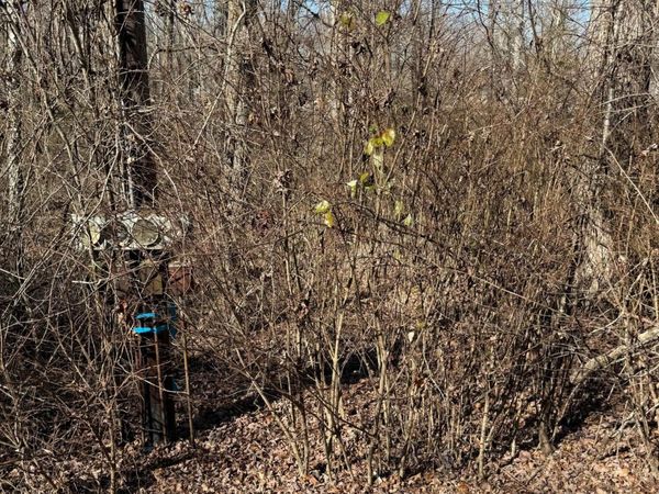 122 Hickory Hollow Road, Crossville, TN 38572