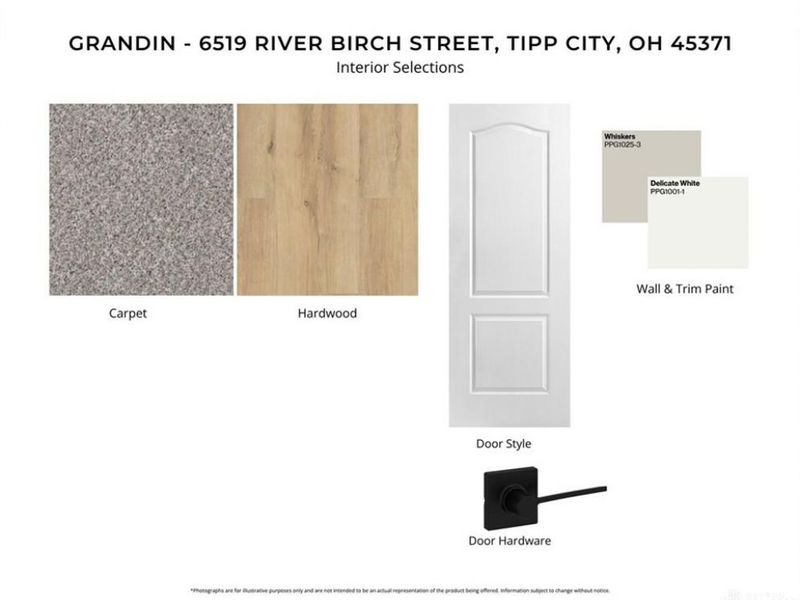 6519 River Birch Street, Tipp City, OH 45371 Photo 6