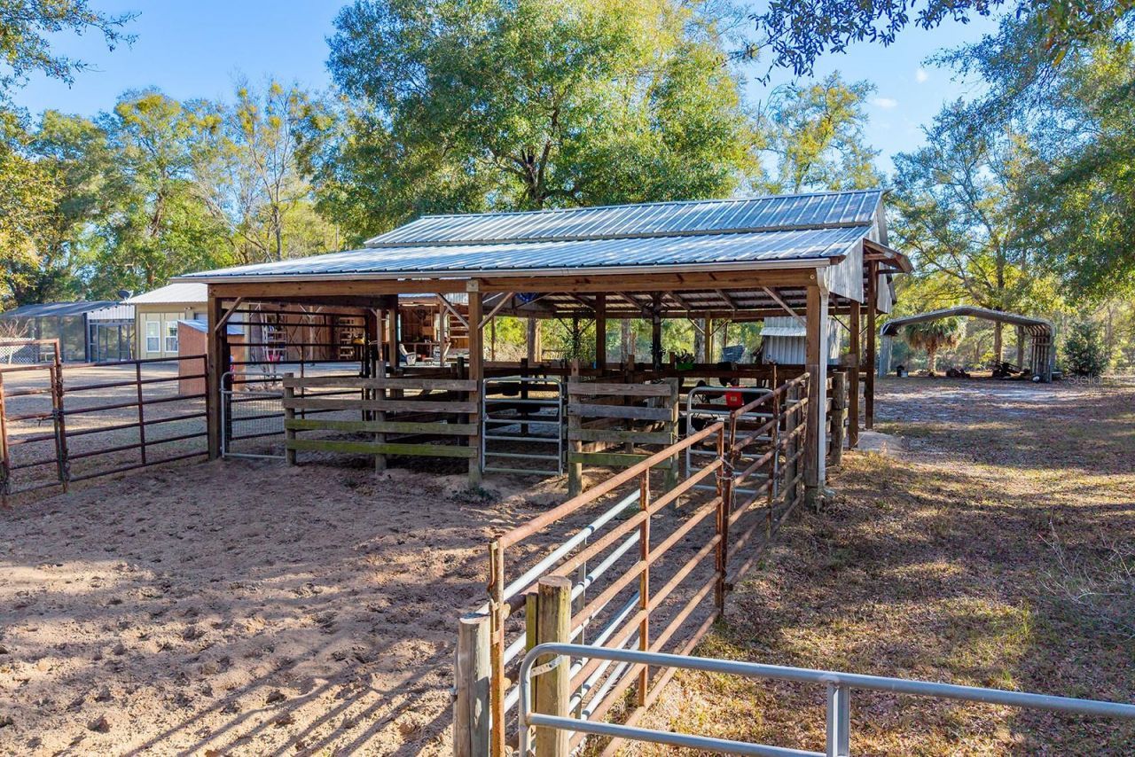 6247 NW 35th Street, Bell, FL 32619 Photo