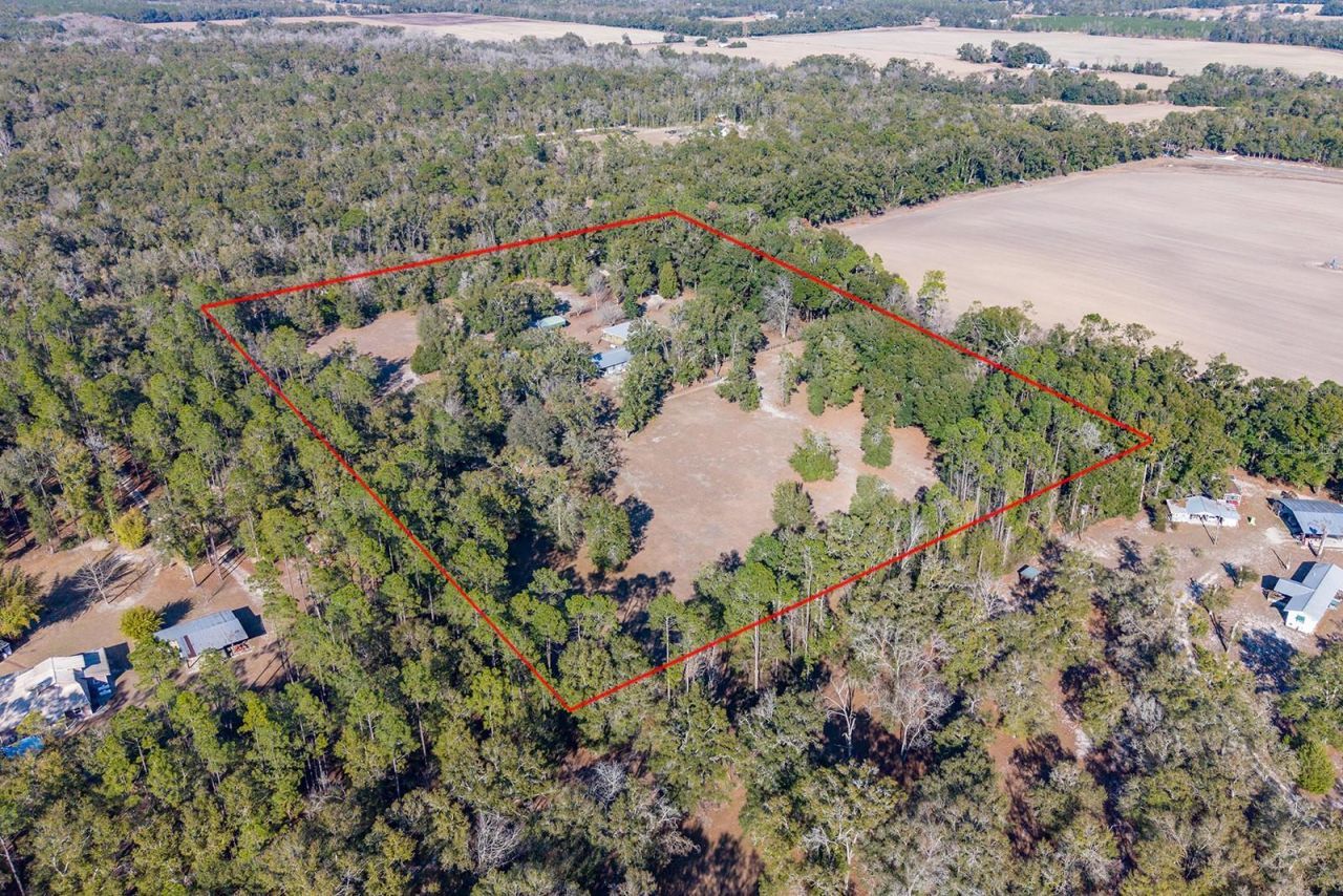 6247 NW 35th Street, Bell, FL 32619 Photo