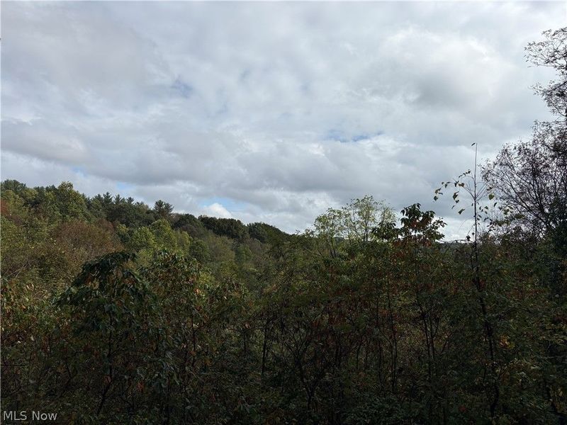 41540 Bernard Cline Road, Woodsfield, OH 43793 Photo 10