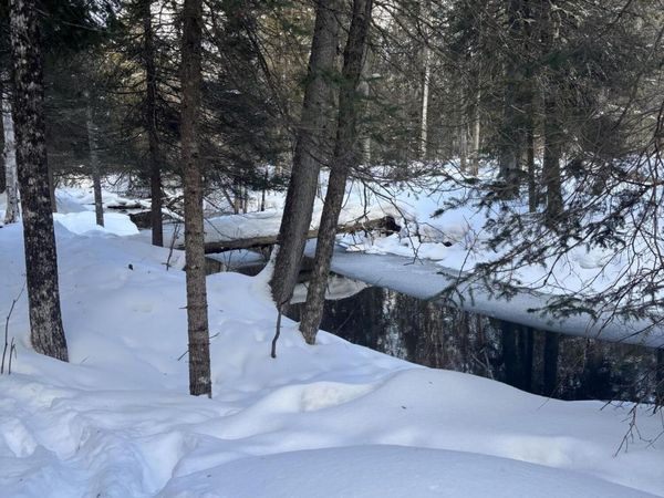 TBD S Flower Bay RD, Cedarville, MI 49719