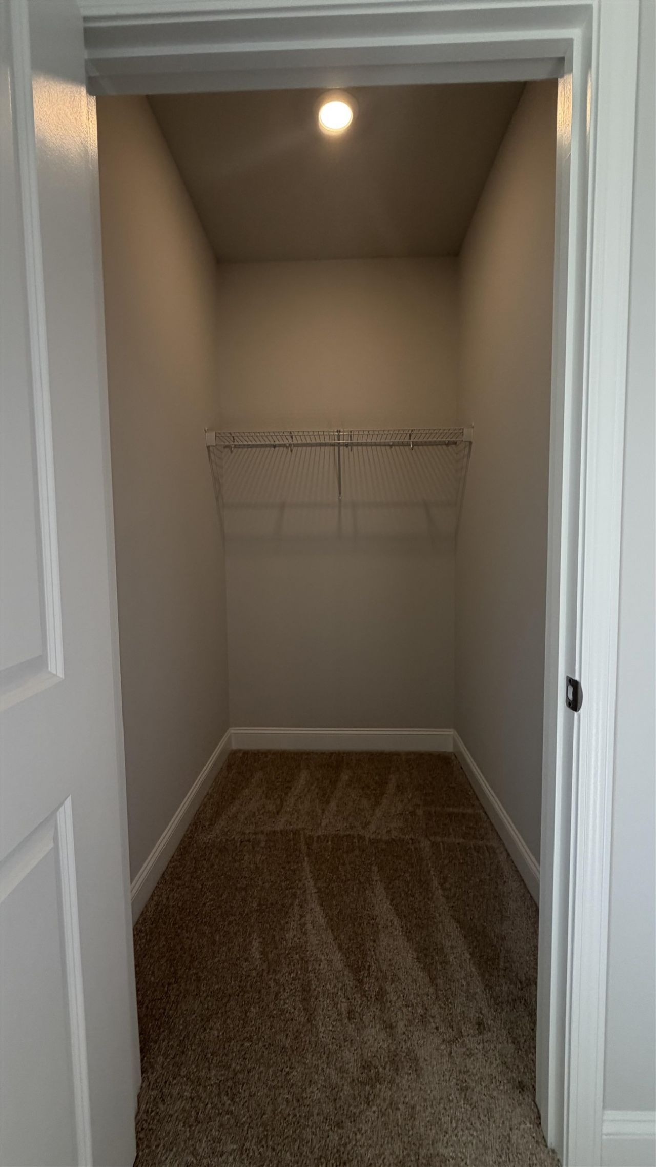 116 Furnies Place Photo 26