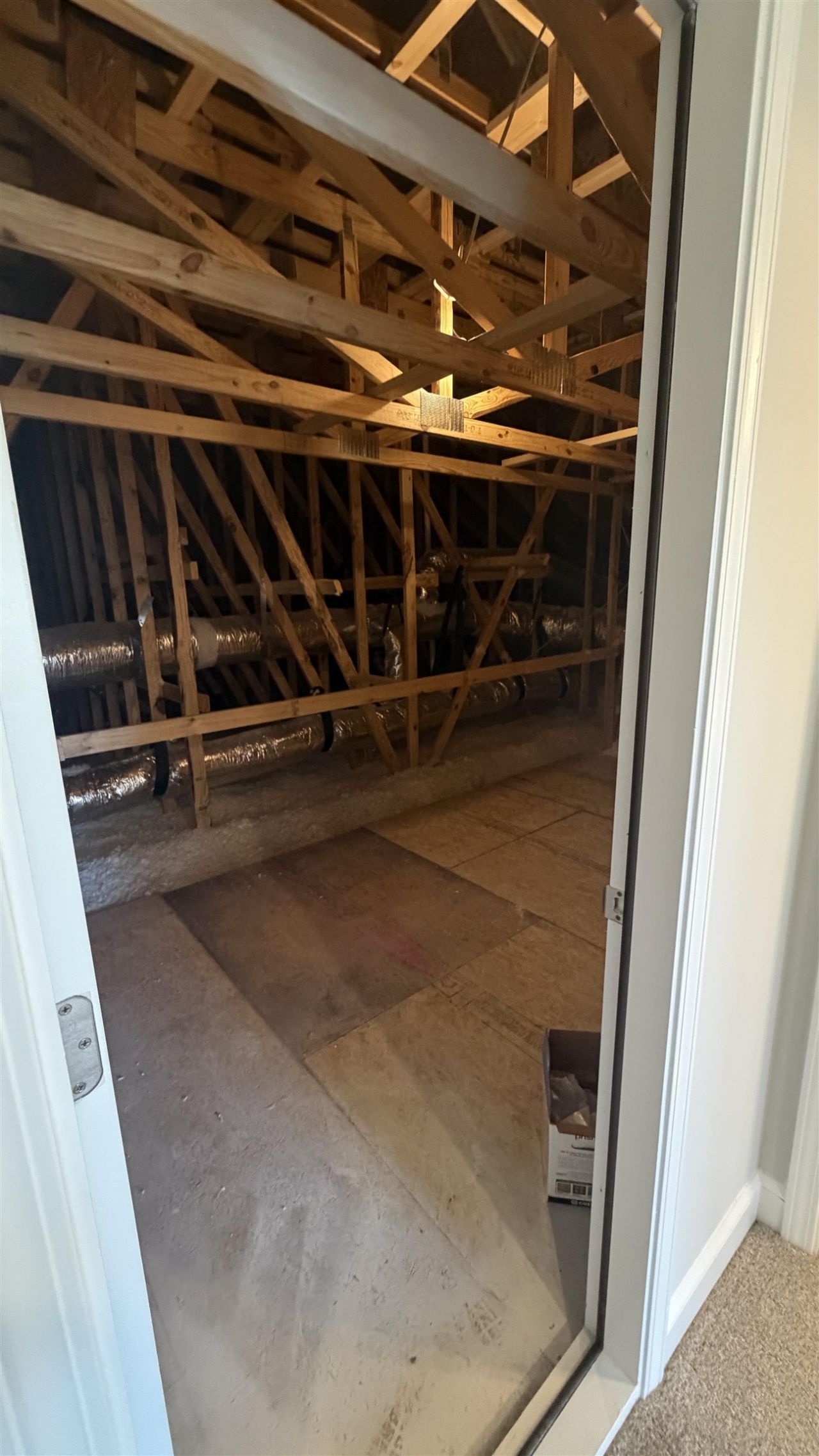 116 Furnies Place Photo 29