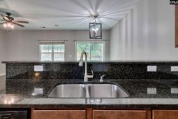 520 Spanish Leaf Lane photo 4