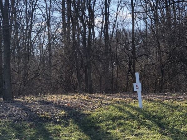 17220 Oak Meadow #5 Oak Meadow Court Court, Homer Glen, IL 60491