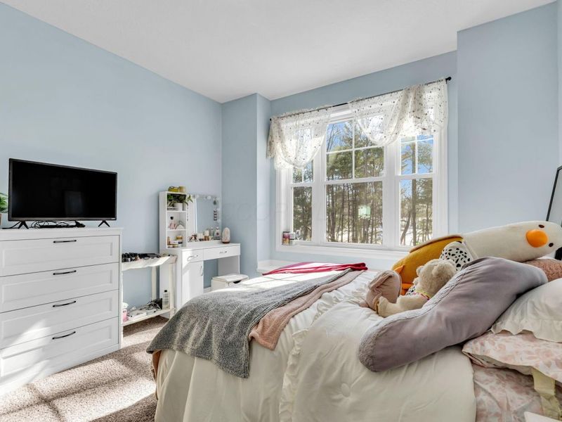 2515 Peterson Road, Mansfield, OH 44903 Photo 21