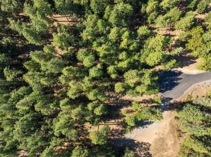 22090 Alton Trl, Foresthill, CA 95631 Photo