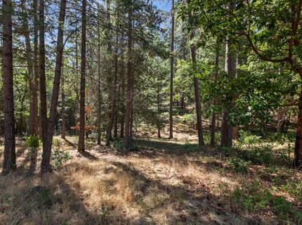 22090 Alton Trl, Foresthill, CA 95631 Photo