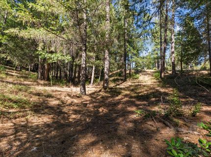 22090 Alton Trl, Foresthill, CA 95631 Photo