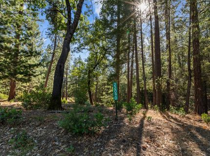 22090 Alton Trl, Foresthill, CA 95631 Photo