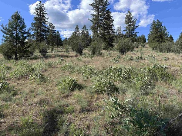 6581 Saddle Mountain Way, Deer Park, WA 99006