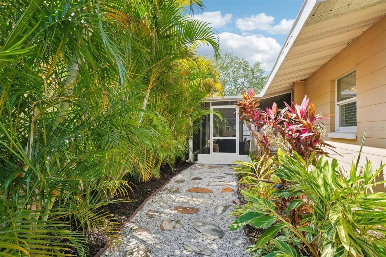 4091 Cherry Street Ne, Saint Petersburg, FL 33703 Photo