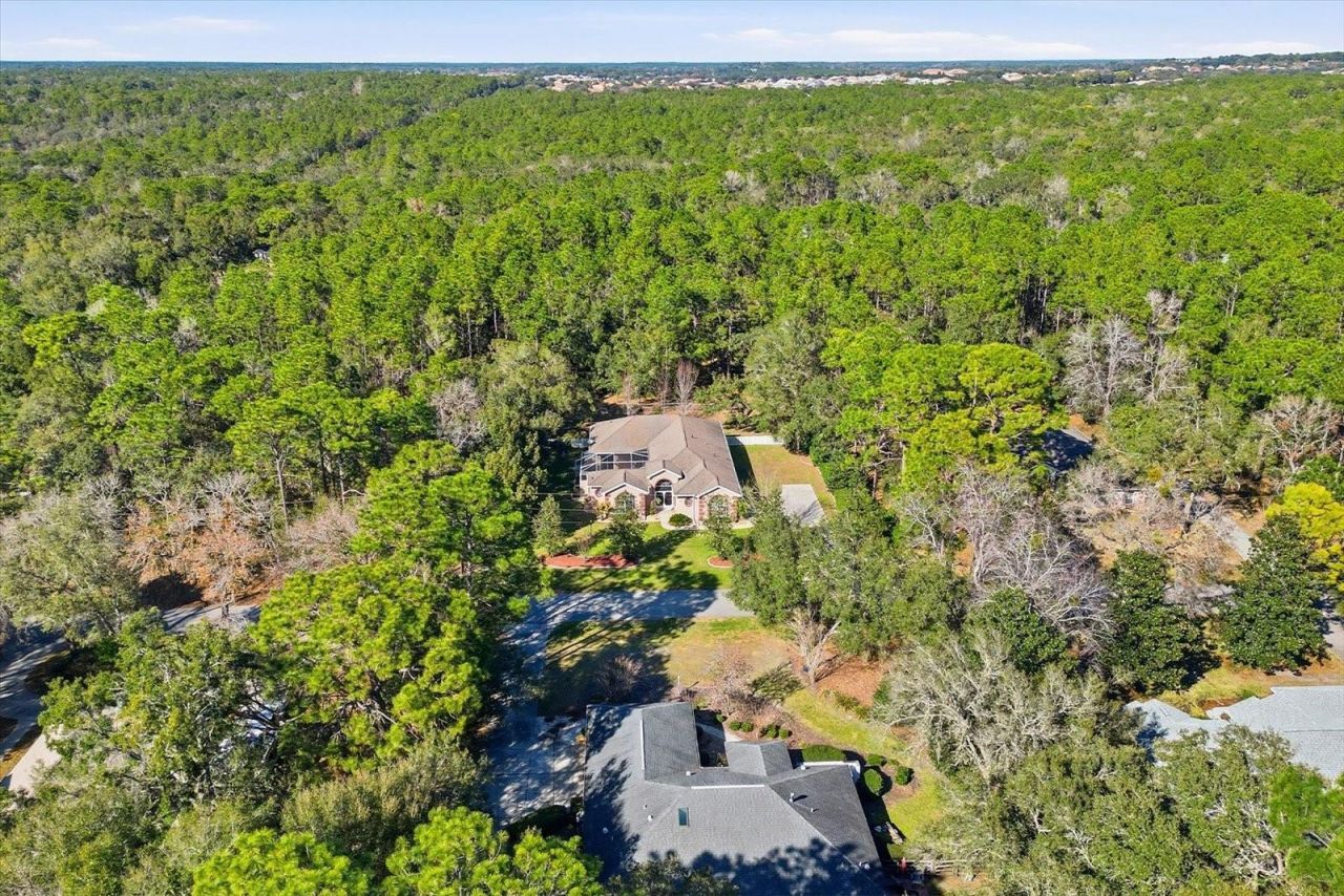 1829 W Redding Street, Hernando, FL 34442 Photo