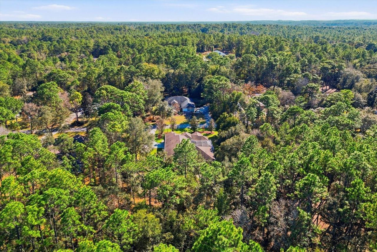 1829 W Redding Street, Hernando, FL 34442 Photo