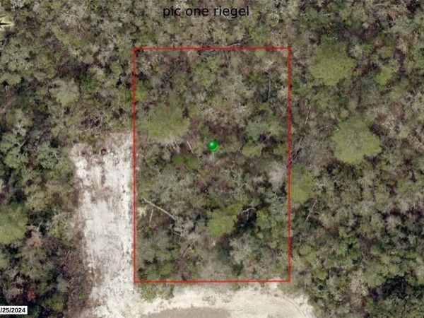 RIEGEL (PAPER) AVENUE, ORANGE CITY, FL 32763