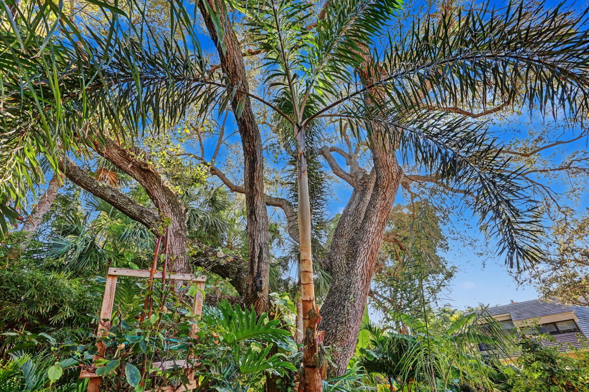 738 St Albans Drive, Boca Raton, FL 33486 Photo