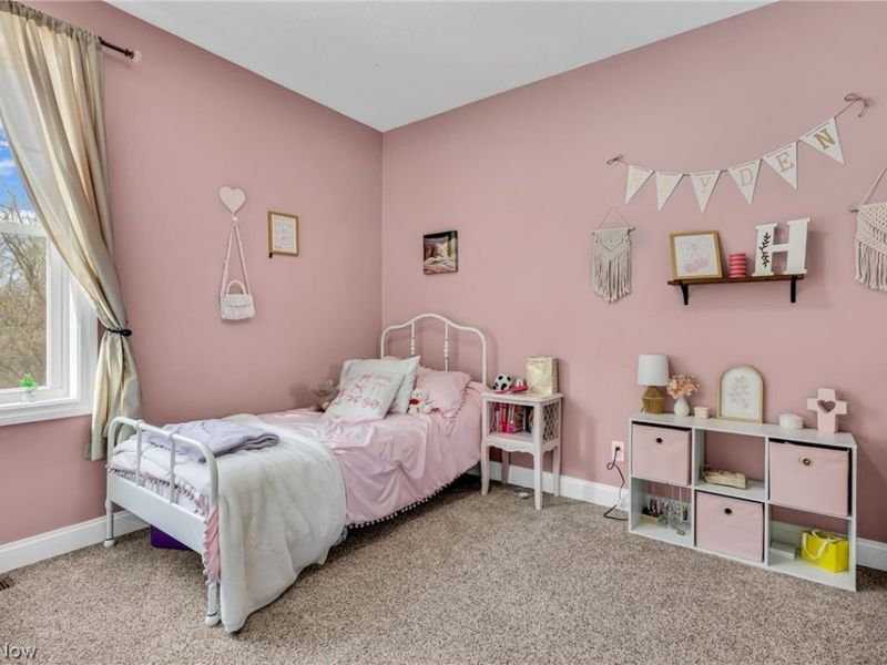 2515 Peterson Road, Mansfield, OH 44903 Photo 17