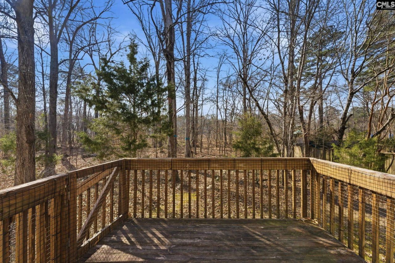 321 Delaine Woods Drive Photo 41