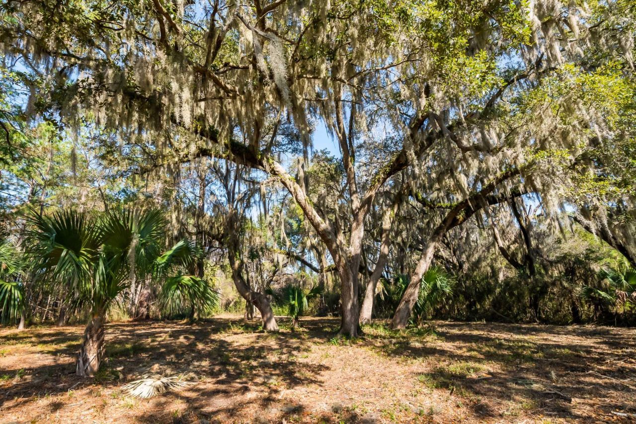 1824 Back Forty Road Photo 14