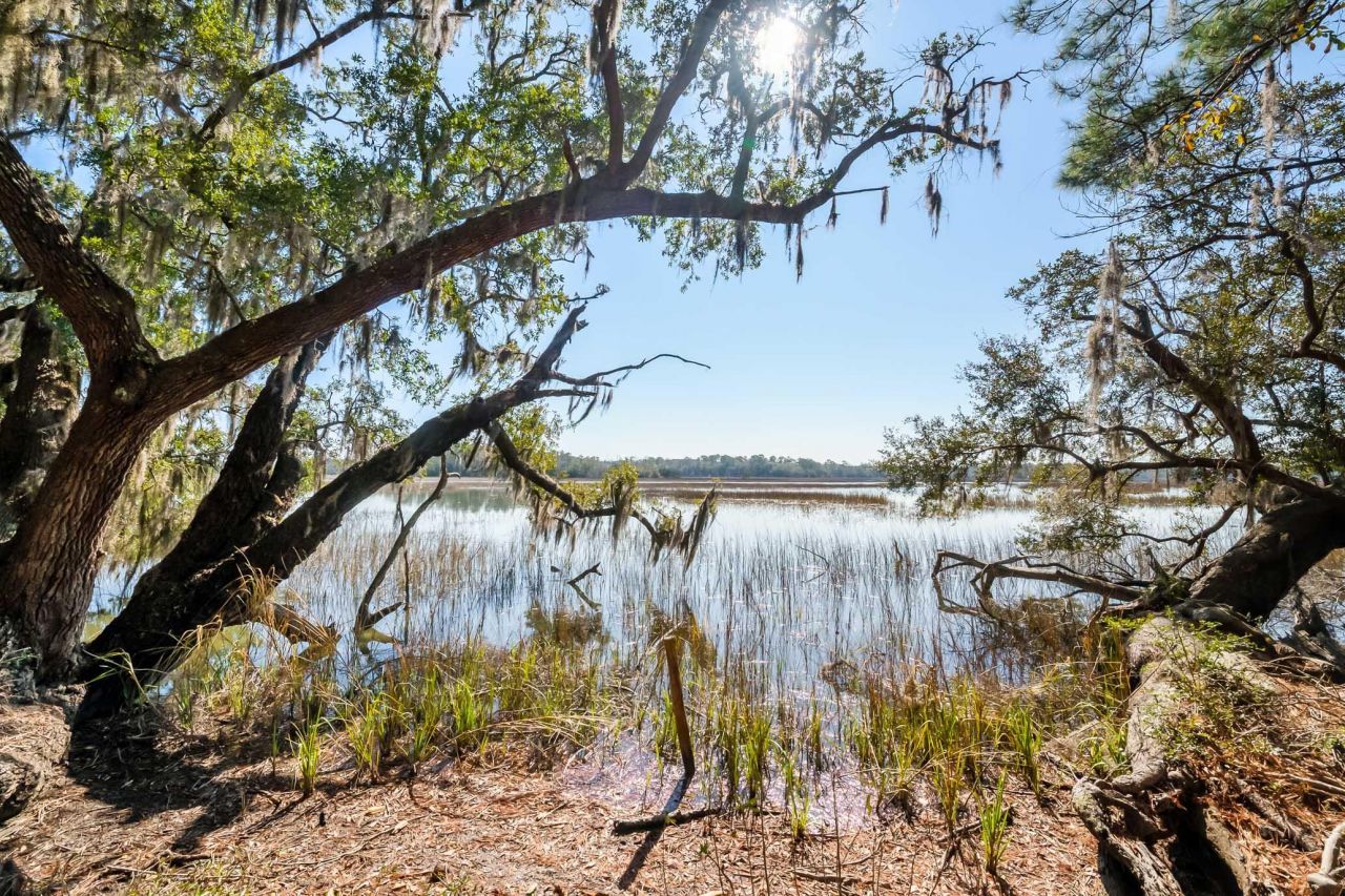 1824 Back Forty Road Photo 15