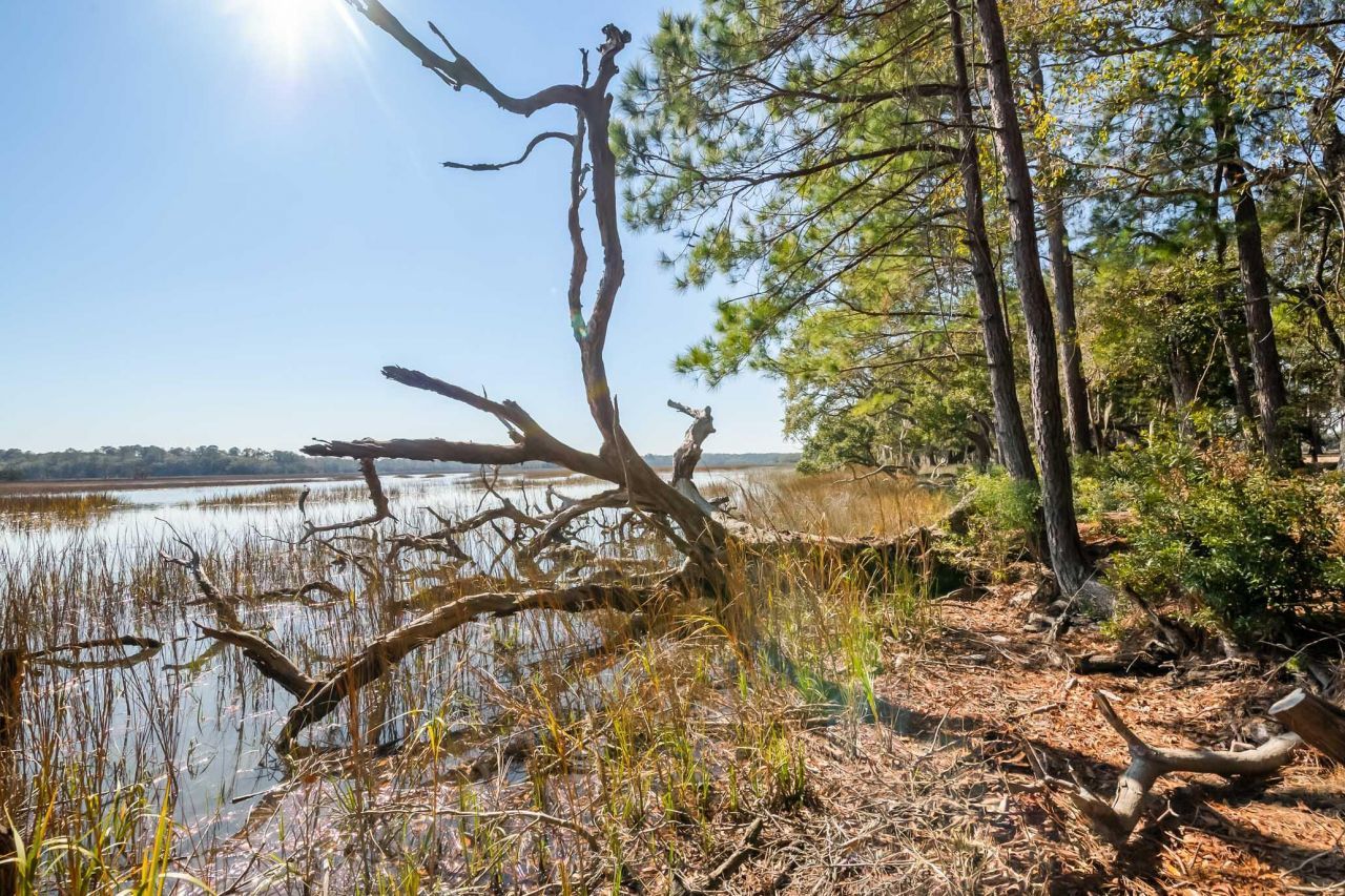 1824 Back Forty Road Photo 16