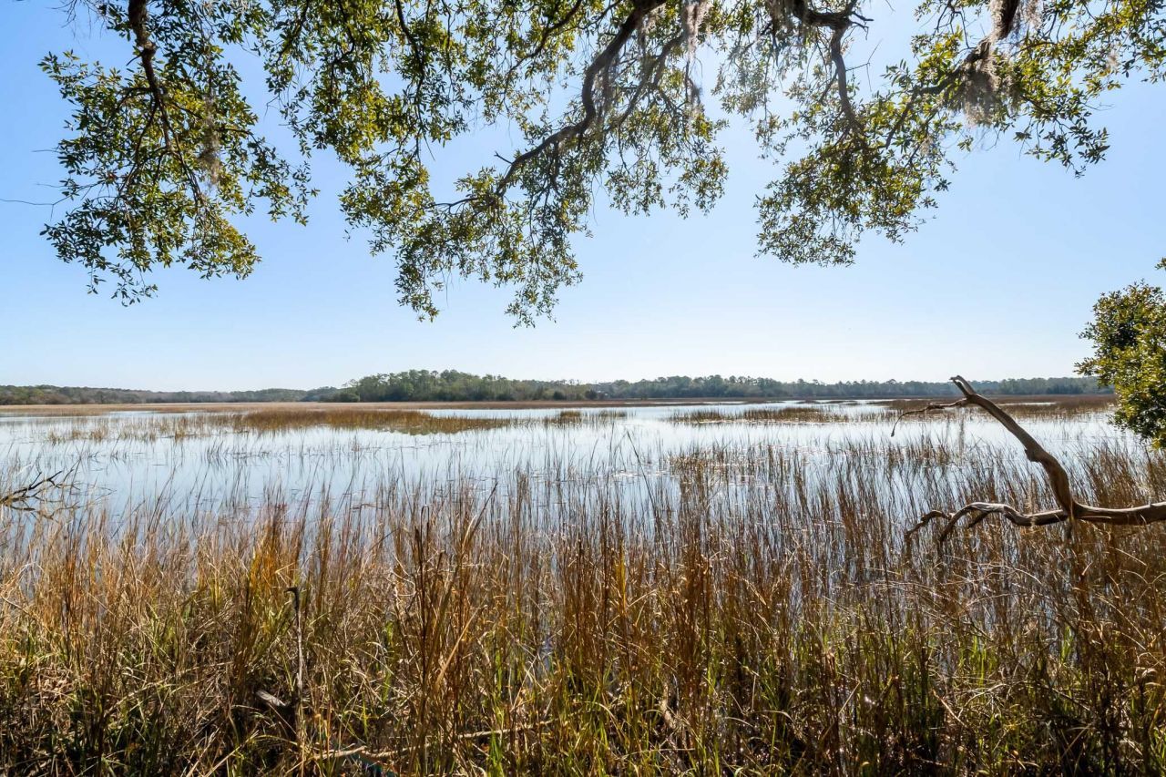 1824 Back Forty Road Photo 17