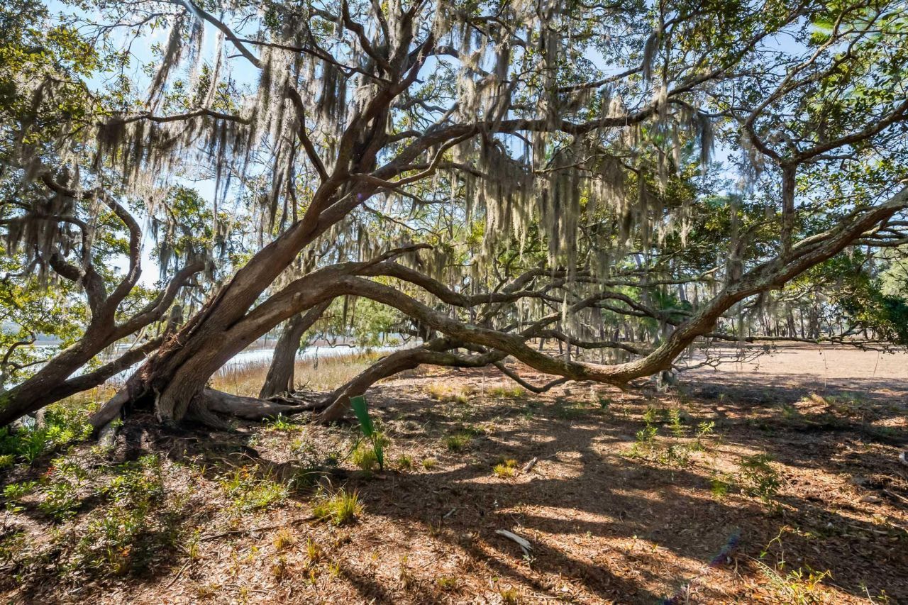 1824 Back Forty Road Photo 19