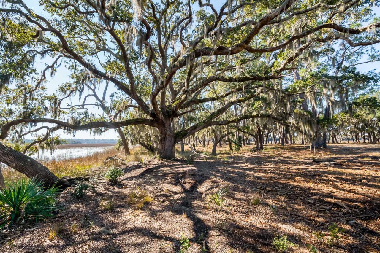 1824 Back Forty Road Photo 20