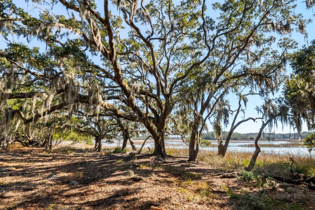 1824 Back Forty Road Photo 21