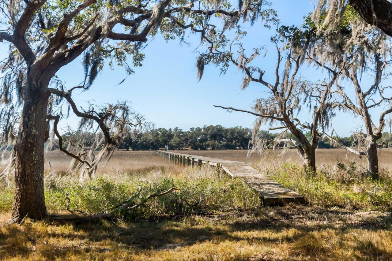 1824 Back Forty Road Photo 25