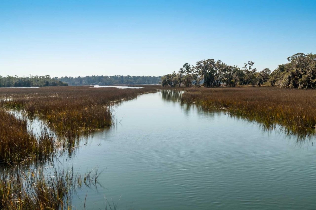 1824 Back Forty Road Photo 27