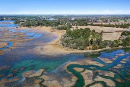 1824 Back Forty Road photo 4